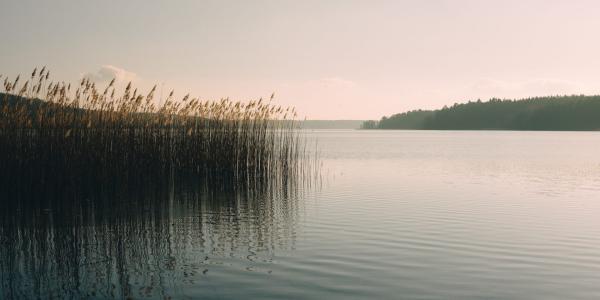 Sonnenuntergang an einem Brandenburger See